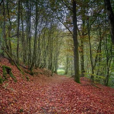 In Ferme De Leuze Nabij Durbuy, Eigen Laadpalen Bed & Breakfast