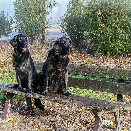 Bed & Breakfast In Ferme De Leuze Nabij Durbuy, Eigen Laadpalen Somme-Leuze