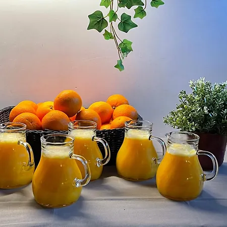 In Ferme De Leuze Nabij Durbuy, Eigen Laadpalen Somme-Leuze